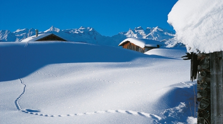 Winterpsort Bartholomäberg